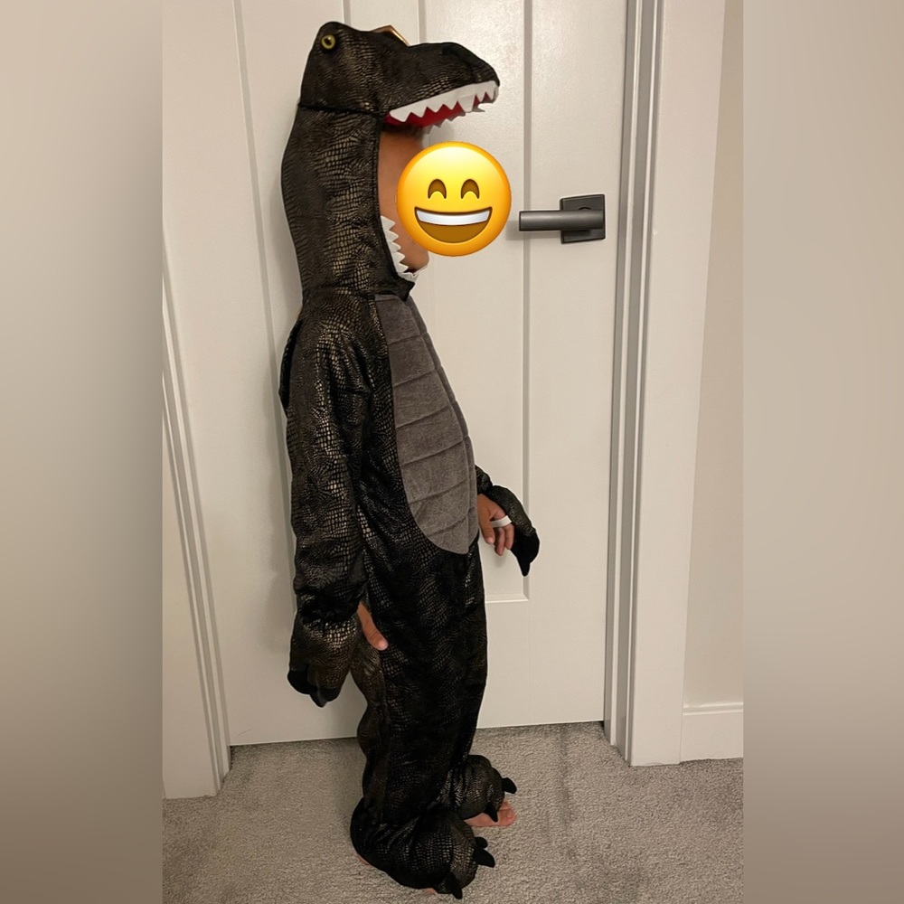 Dinosaur Halloween Costume for Kids Size 4T Black & Gold - Picture 6 of 6
